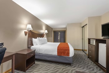 Standard Room, 1 King Bed, Non Smoking, Refrigerator & Microwave (Walk-in Shower;with Sofabed)
