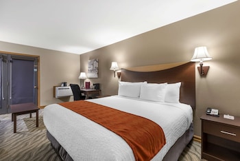 Standard Room, 1 King Bed, Non Smoking, Balcony (Walk-in Shower;Larger Room)