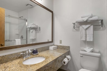 Standard Room, 1 King Bed, Non Smoking, Balcony (Walk-in Shower;Larger Room)