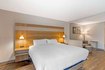 Suite, 1 King Bed, Non Smoking, Kitchenette (with Sofabed)