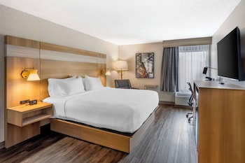 Standard Room, 1 King Bed, Non Smoking, Jetted Tub