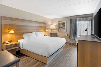 Standard Room, 1 King Bed, Non Smoking, Jetted Tub