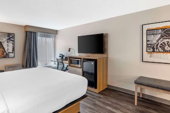 Standard Room, 1 King Bed, Non Smoking, Jetted Tub