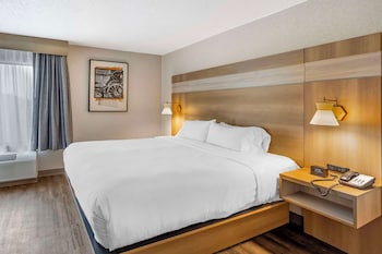 Suite, 1 King Bed, Non Smoking, Kitchenette (with Sofabed)
