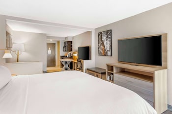 Suite, 1 King Bed, Non Smoking, Kitchenette (with Sofabed)
