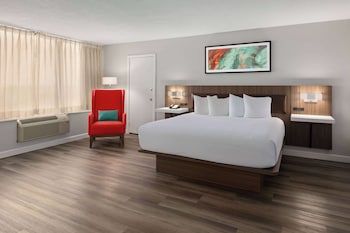 Junior Suite, Non Smoking (1 King Bed)