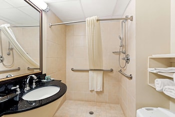 Standard Room, 1 King Bed, Accessible, Refrigerator & Microwave