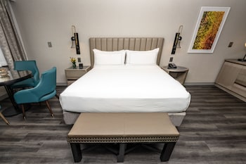 Room, 1 King Bed, Accessible, Bathtub (Hearing)