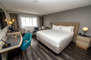 Room, 1 King Bed with Sofa bed