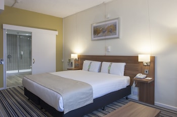 Standard Room, 1 King Bed with Sofa bed