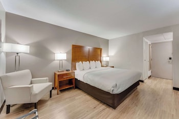 Room, 1 King Bed, Accessible, Non Smoking