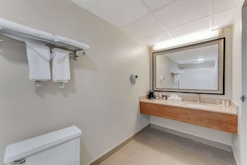 Suite, 1 King Bed, Non Smoking
