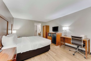 Room, 1 King Bed, Accessible, Non Smoking
