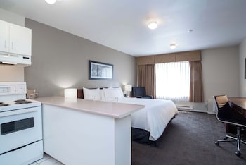 Studio, 1 King Bed, Kitchen