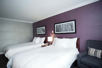 Standard Room, 2 Double Beds