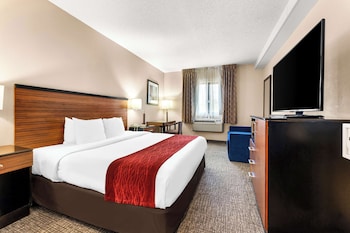 Standard Room, 1 King Bed, Accessible, Refrigerator & Microwave (with Sofabed)