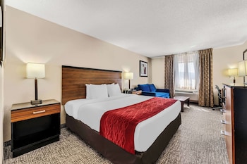 Standard Room, 1 King Bed, Non Smoking, Refrigerator & Microwave (with Sofabed)