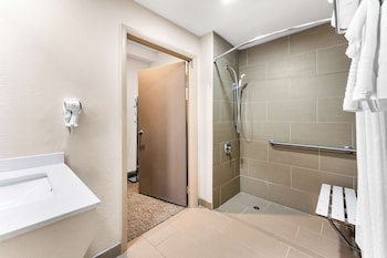 Standard Room, 1 King Bed, Accessible, Refrigerator & Microwave (with Sofabed)