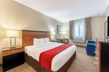 Standard Room, 1 King Bed, Accessible, Refrigerator & Microwave (with Sofabed)