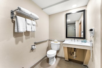 Standard Room, 1 King Bed, Accessible, Refrigerator & Microwave (with Sofabed)