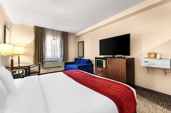 Standard Room, 1 King Bed, Accessible, Refrigerator & Microwave (with Sofabed)