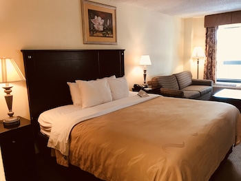 Room, 1 King Bed, Non Smoking
