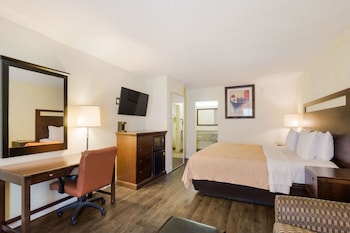 Room, 1 King Bed with Sofa bed, Accessible, Non Smoking