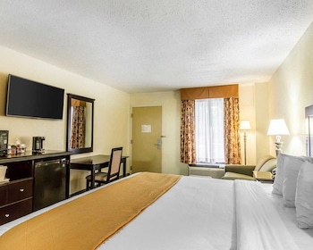 Room, 1 King Bed with Sofa bed, Accessible, Non Smoking