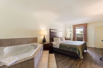 Room, 1 King Bed, Non Smoking, Jetted Tub