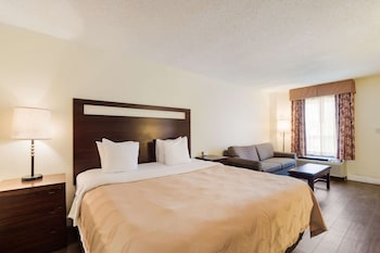 Room, 1 King Bed, Non Smoking