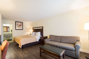 Room, 1 King Bed, Non Smoking