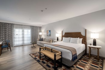 Room, 1 King Bed with Sofa bed (Oasis)