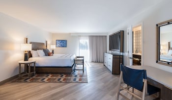 Room, 1 King Bed (Garden)