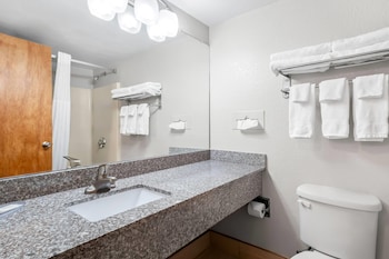 Suite, 1 Bedroom