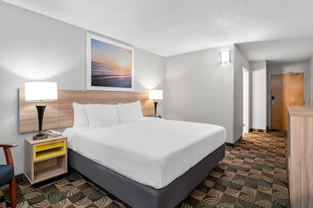 Standard Room, 1 King Bed, Accessible