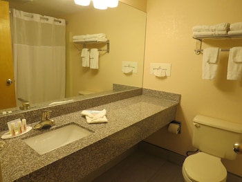 Suite, 1 Bedroom