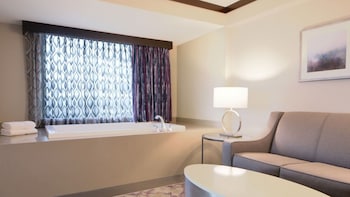 Player Spa Suite King Non-smoking