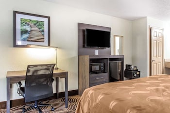 Room, 1 King Bed, Accessible, Non Smoking