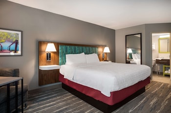 Room, 1 King Bed, Non Smoking, Refrigerator & Microwave