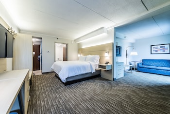 Suite, 1 King Bed with Sofa bed