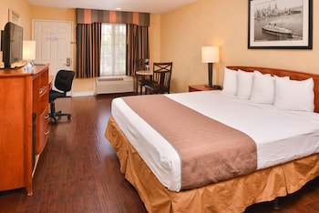 Standard Room, 1 King Bed, Accessible, Non Smoking (Walk-in Shower)