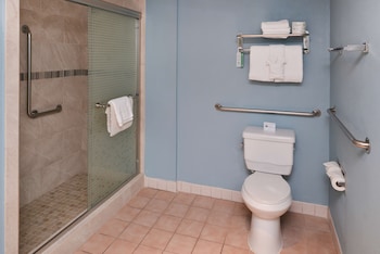 Standard Room, 1 King Bed, Accessible, Non Smoking (Walk-in Shower)