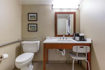 Room, 1 King Bed, Accessible, Non Smoking