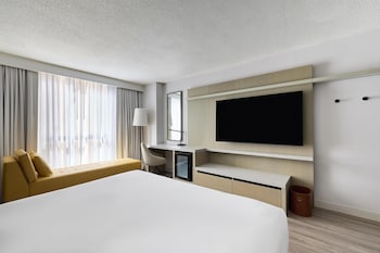 Room, 1 King Bed