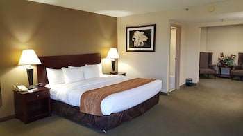 Standard Room, 1 King Bed, Non Smoking