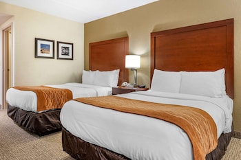 Standard Double Room, 2 Double Beds, Non Smoking