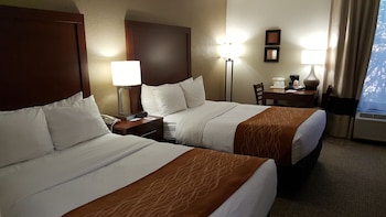 Standard Double Room, 2 Double Beds, Non Smoking