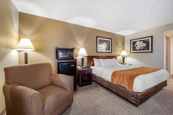 Standard Room, 1 King Bed, Non Smoking