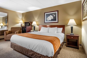 Standard Room, 1 King Bed, Non Smoking