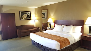 Standard Room, 1 King Bed, Non Smoking